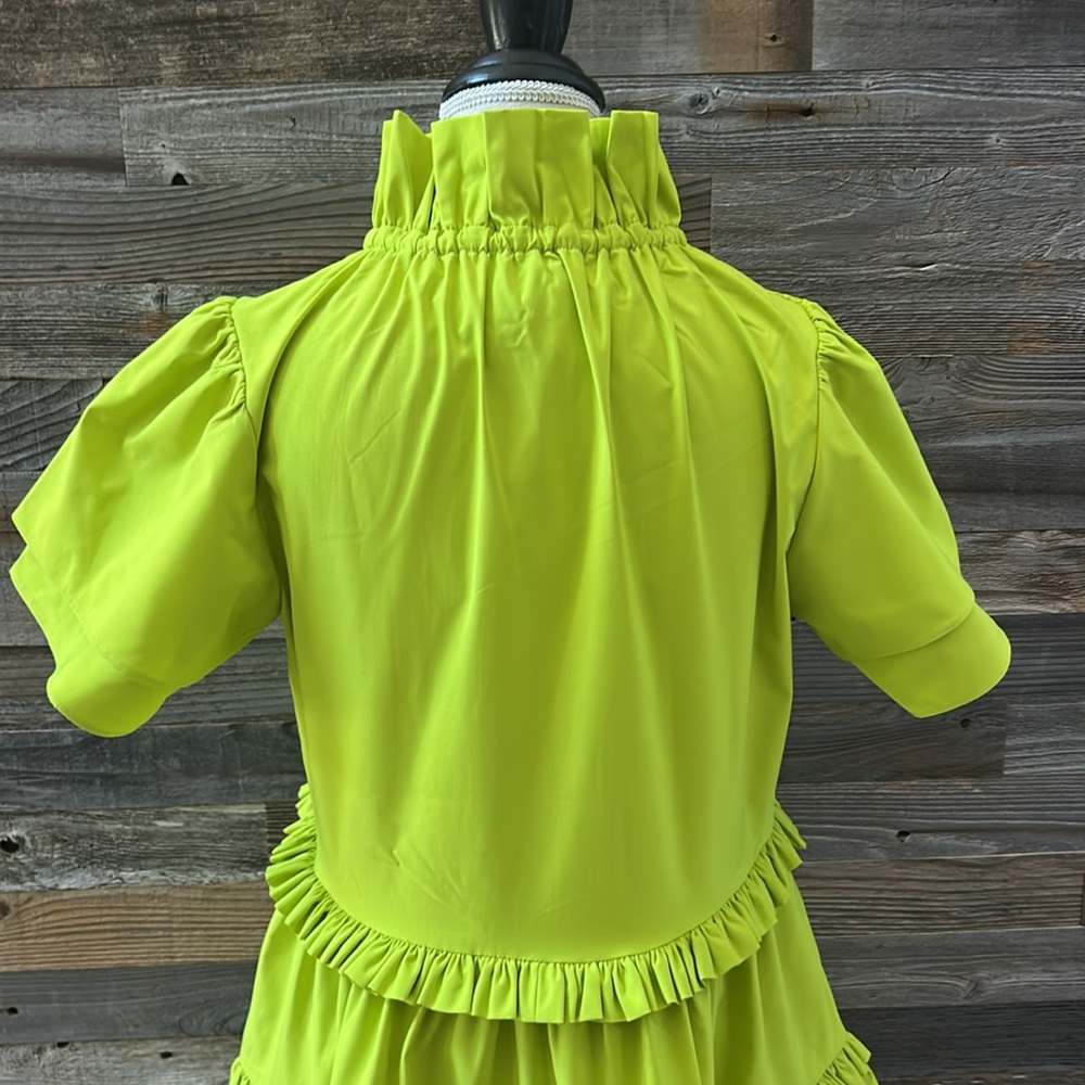 Alden Adair Hallie Ruffle Dress in Citrus Size Small NWT - Picture 8 of 12